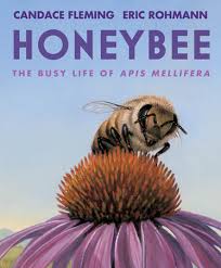 Honeybee 