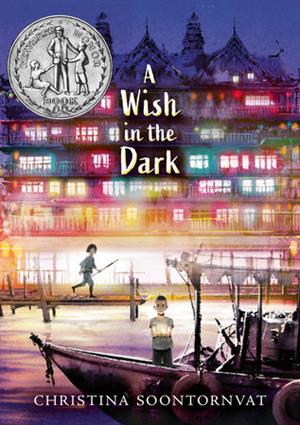 A Wish in the Dark 