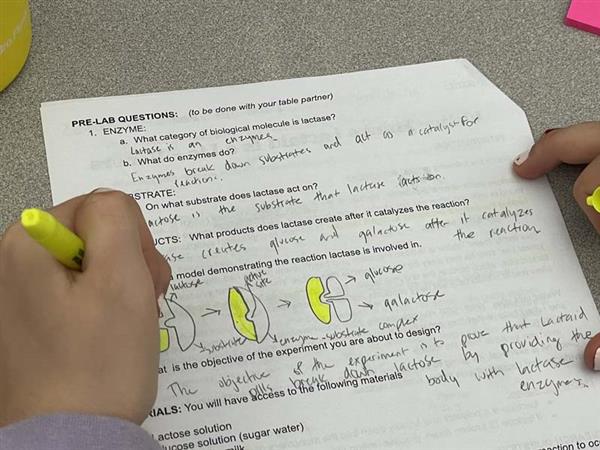 close up of a student's pre-lab assignment