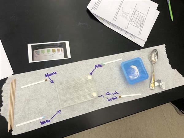 aerial view of student's workstation with samples and instruments